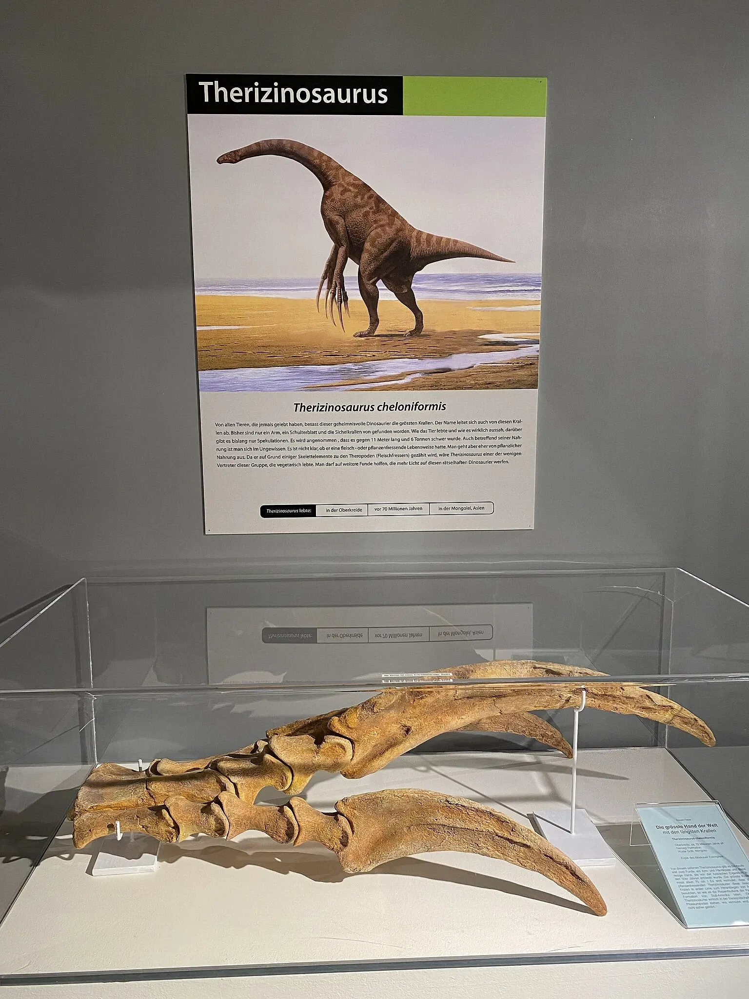 Aathal Dinosaur Museum