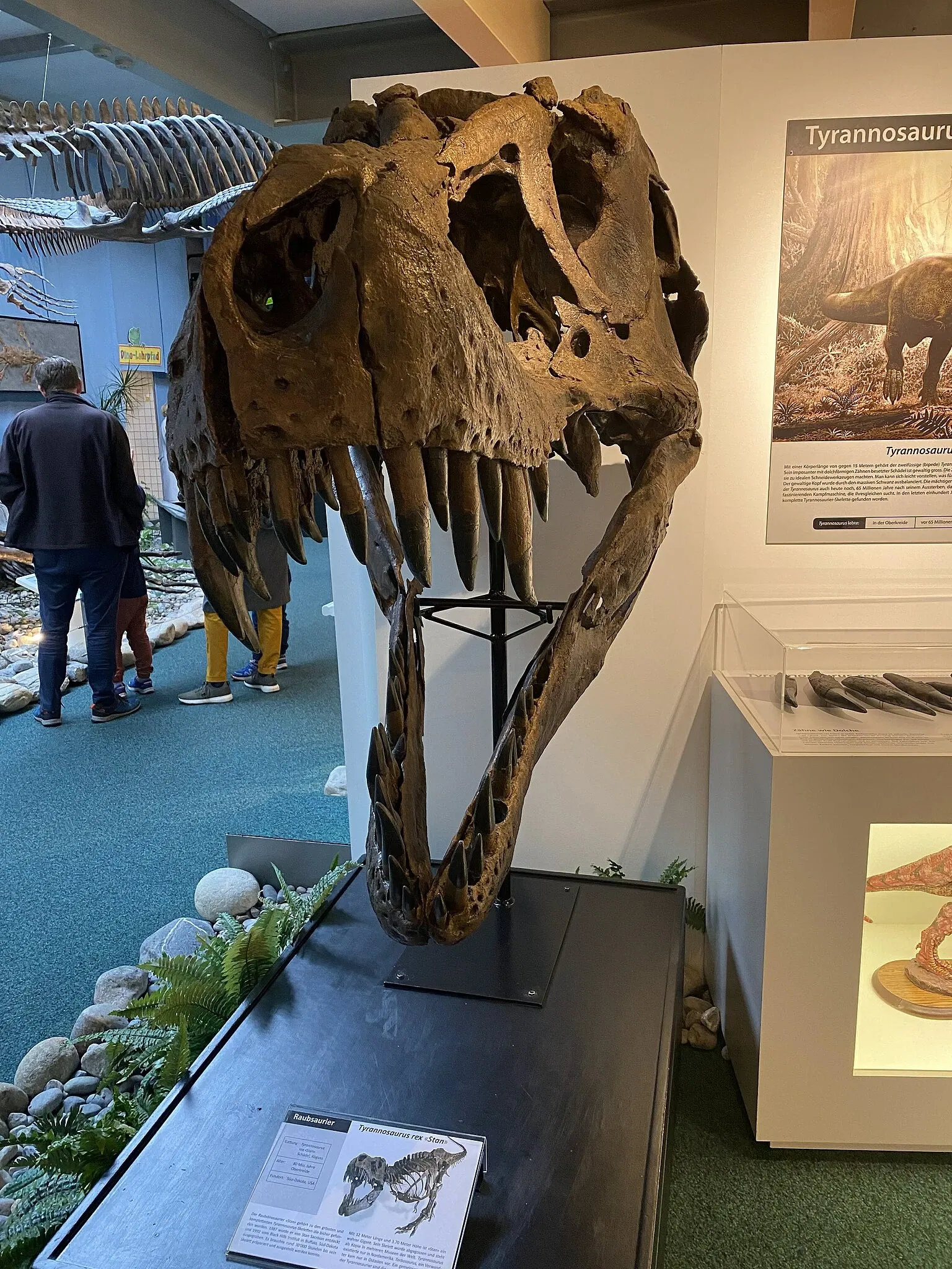 Aathal Dinosaur Museum