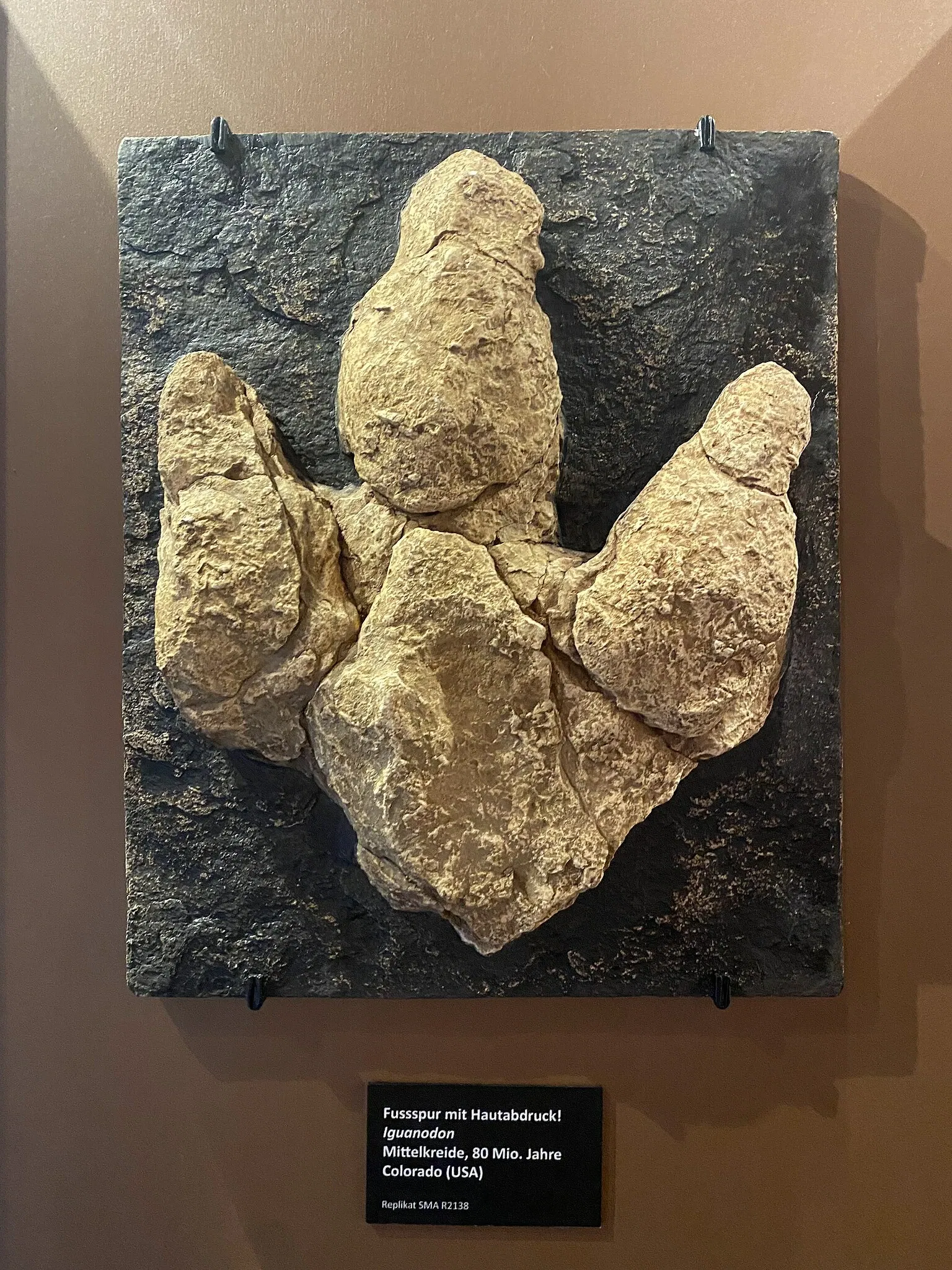 Aathal Dinosaur Museum