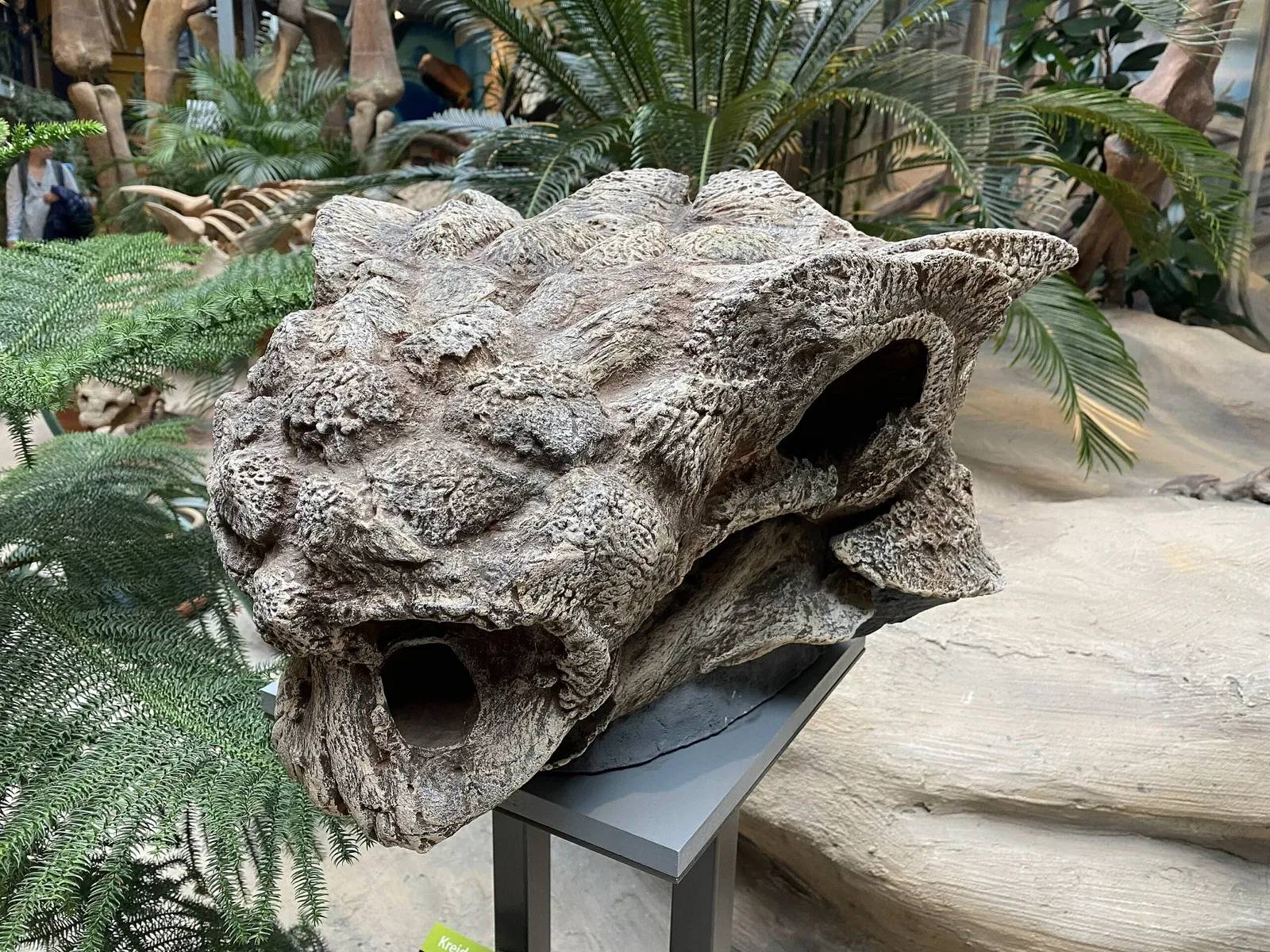 Aathal Dinosaur Museum