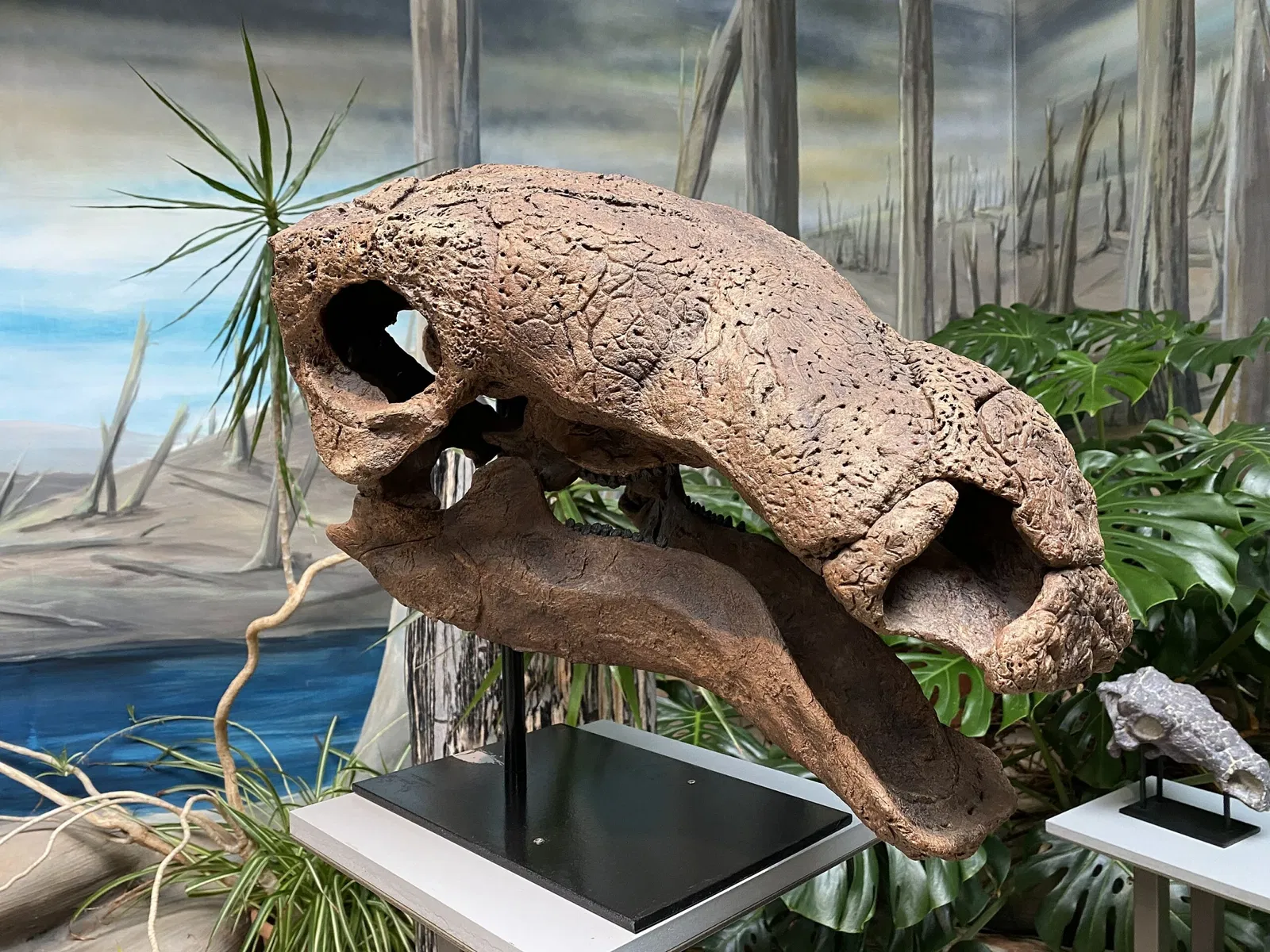 Aathal Dinosaur Museum