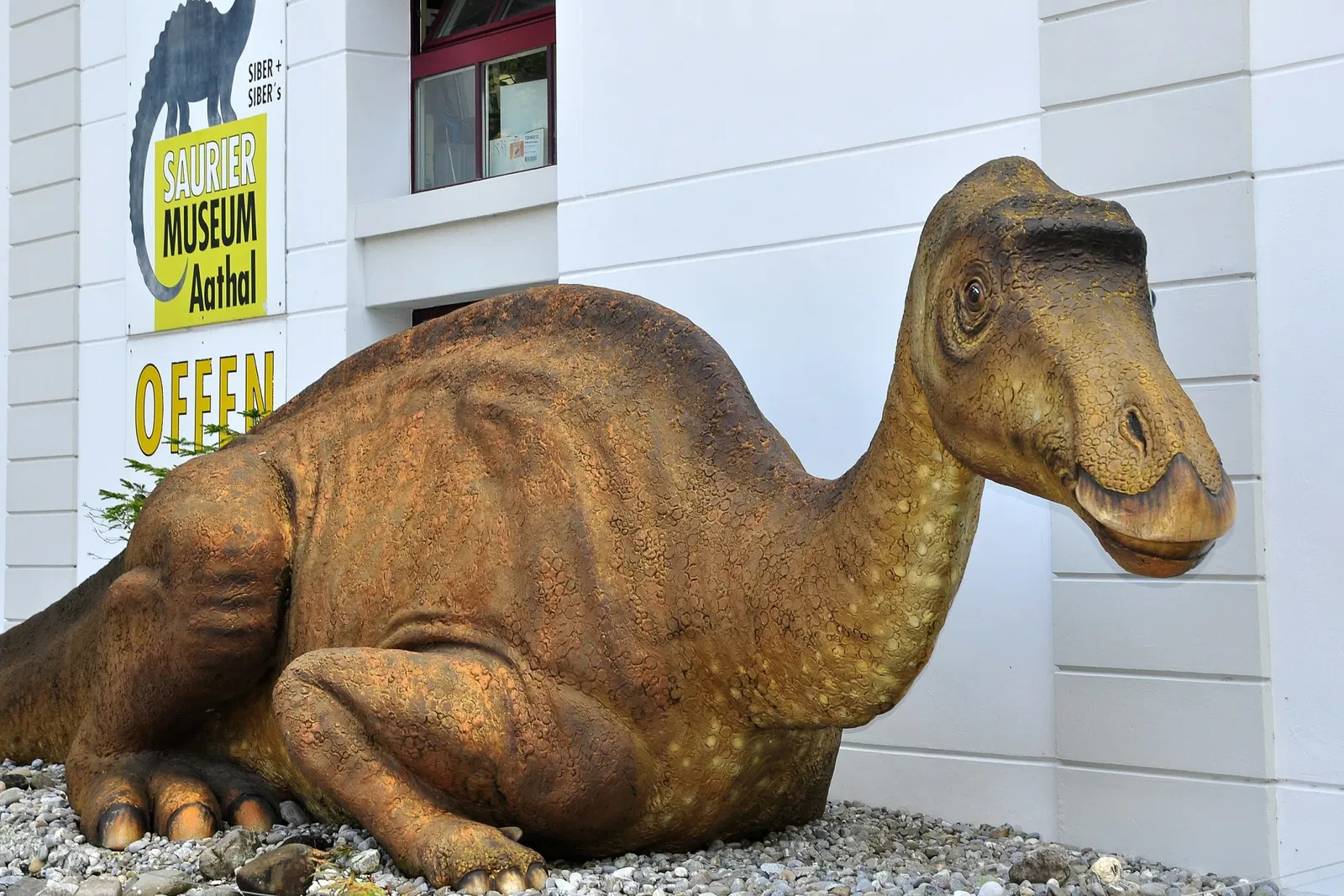 Aathal Dinosaur Museum