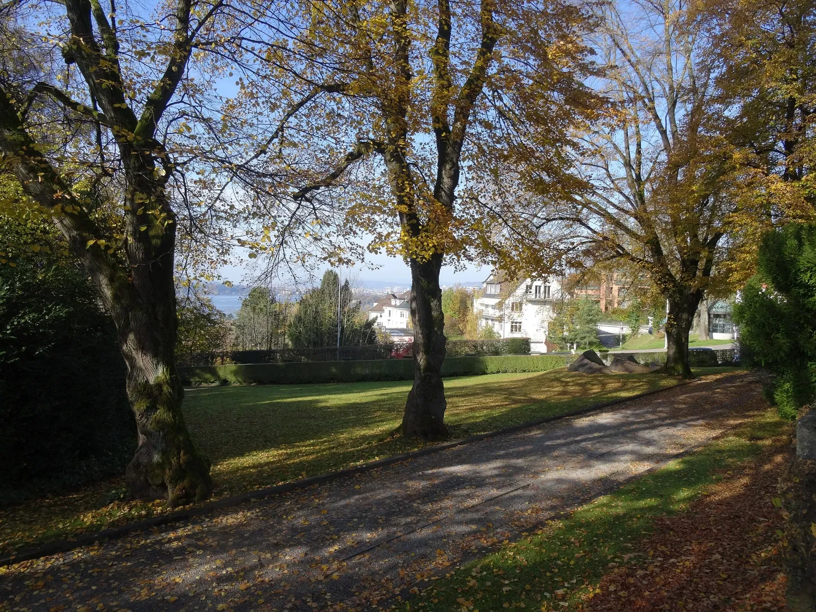 Villa Meier Severini