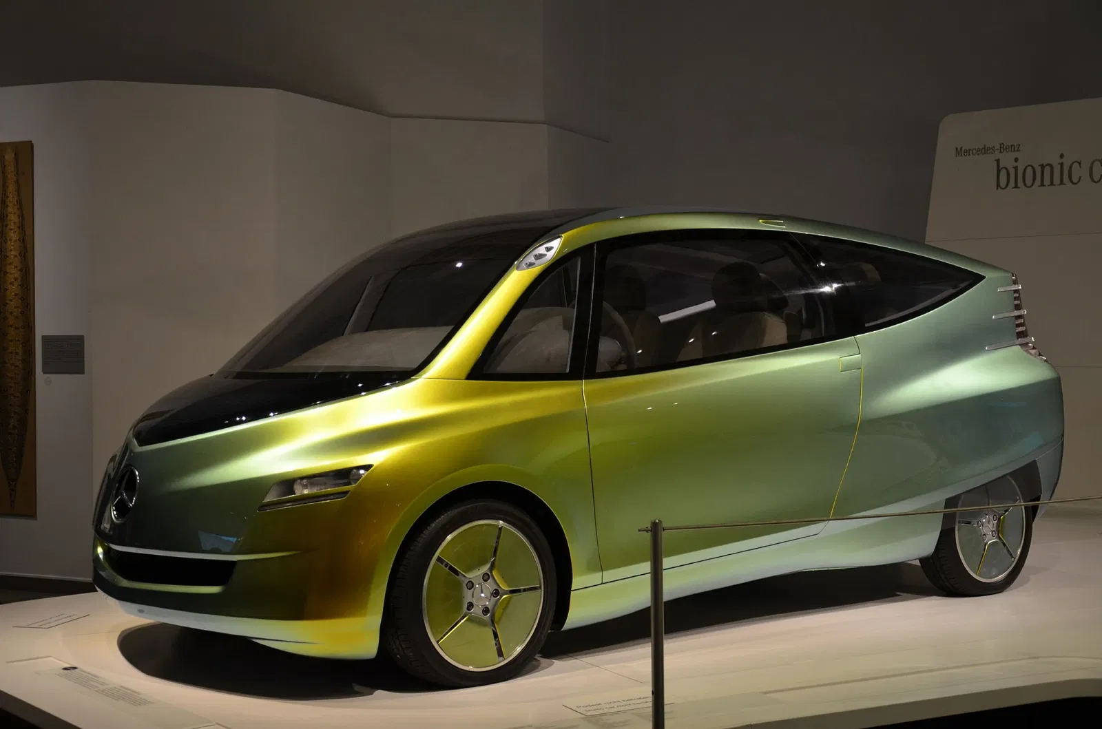 Westphalian Museum of Natural History