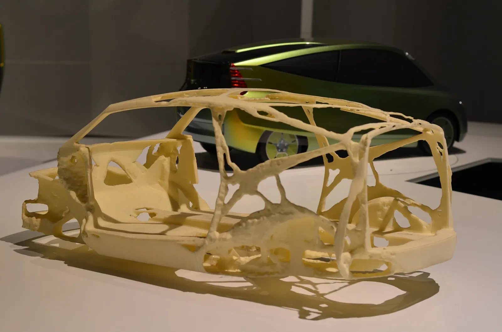 Westphalian Museum of Natural History