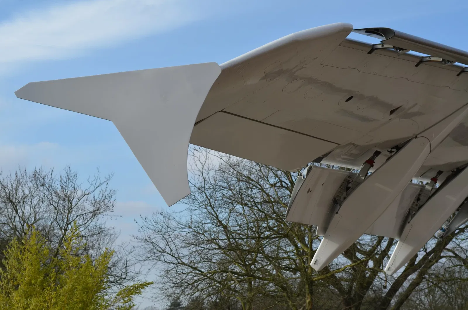 Westphalian Museum of Natural History