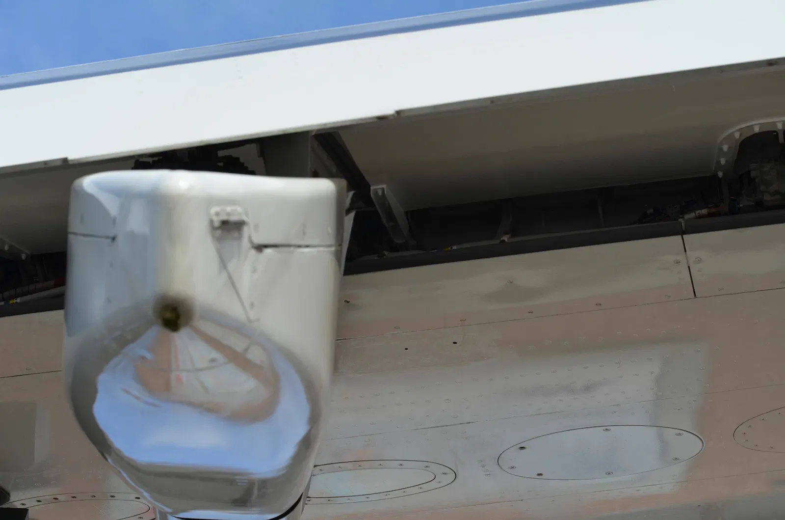 Westphalian Museum of Natural History