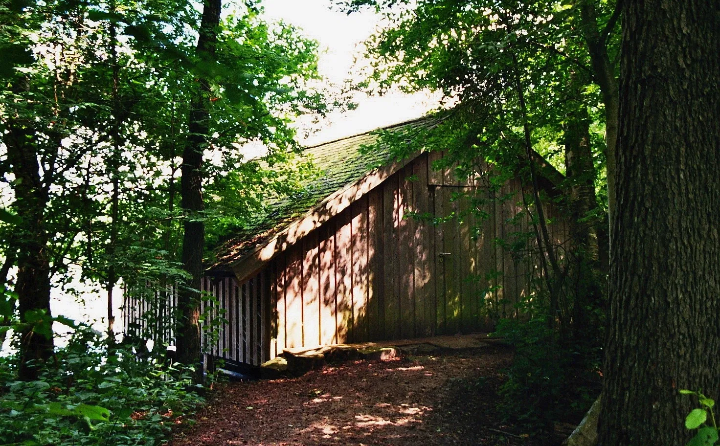 Westphalian Museum of Natural History