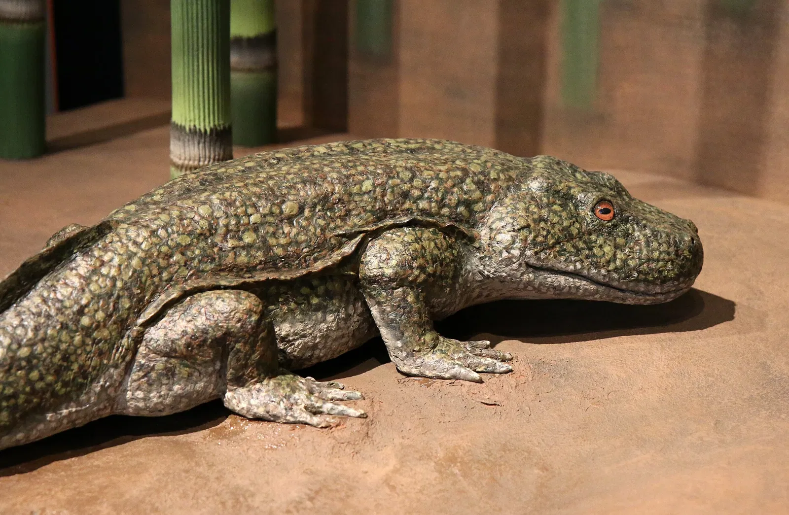 Natural History Museum Mainz