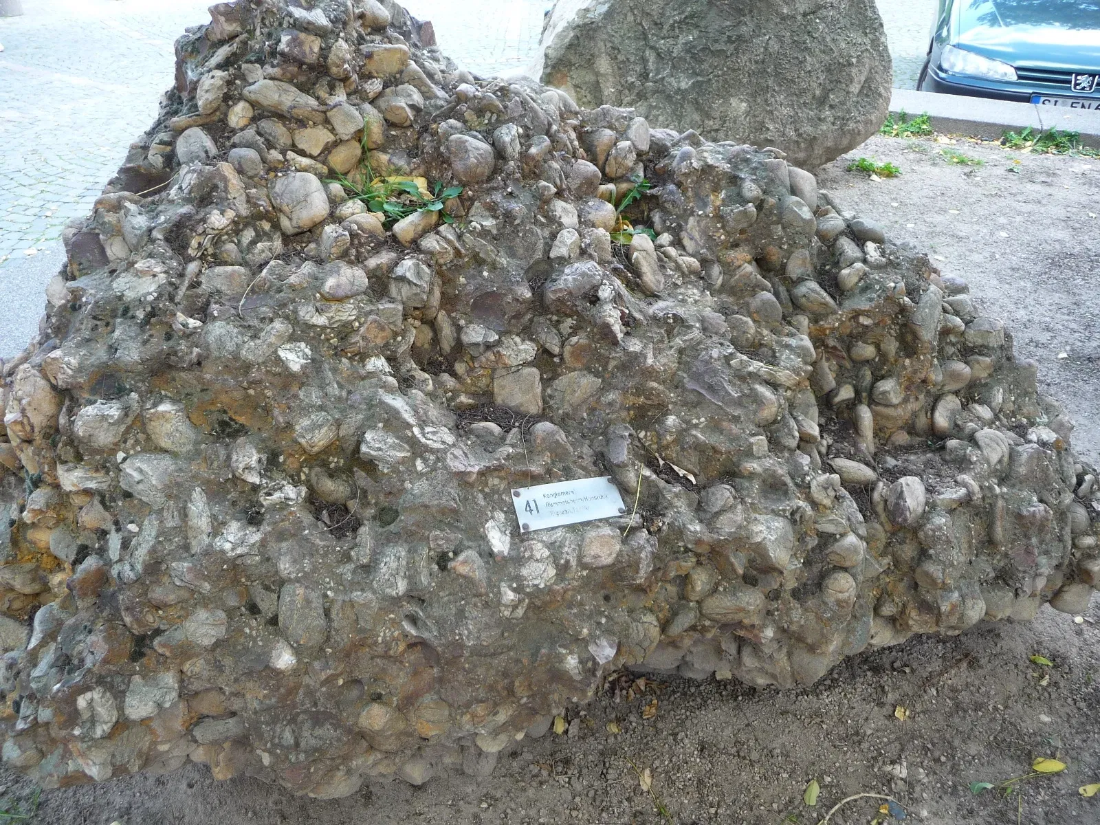 Natural History Museum Mainz