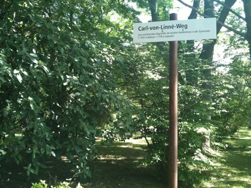 Botanischer Garten der Johannes Gutenberg-Universität Mainz