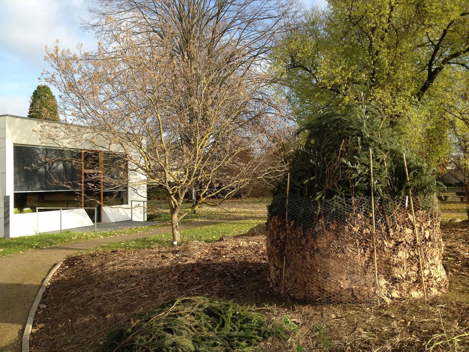 Botanical Garden of Johannes Gutenberg University