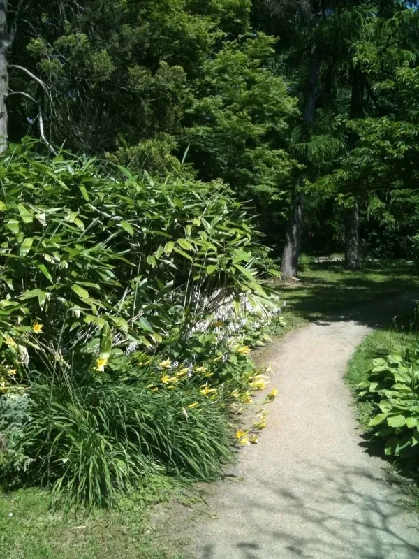 Jardin botanique de Mayence