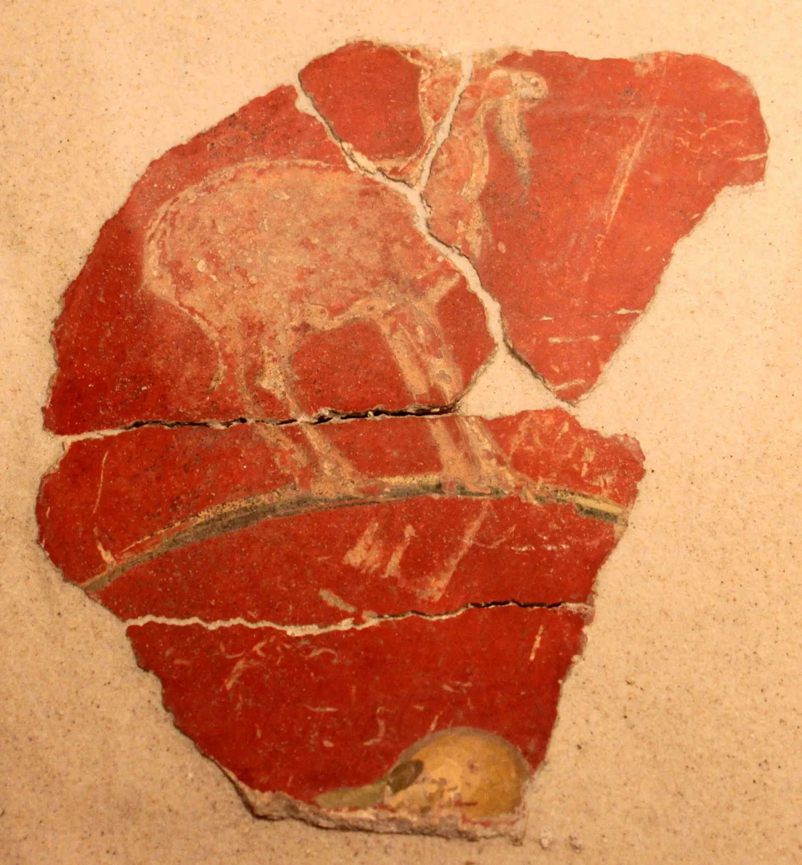 Musée romain de Nyon