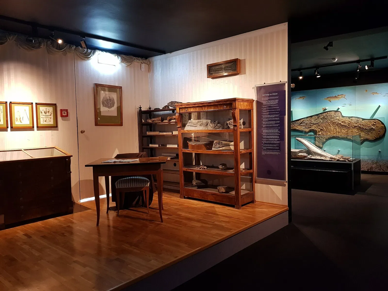 Urwelt-Museum Oberfranken