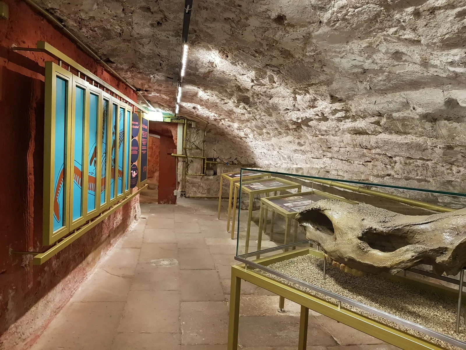 Urwelt-Museum Oberfranken