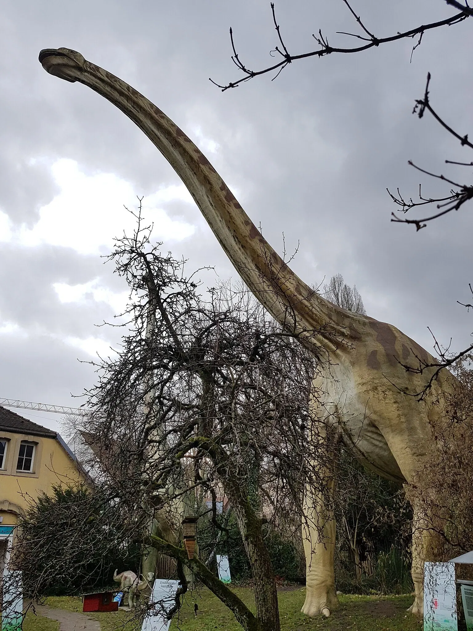 Urwelt-Museum Oberfranken