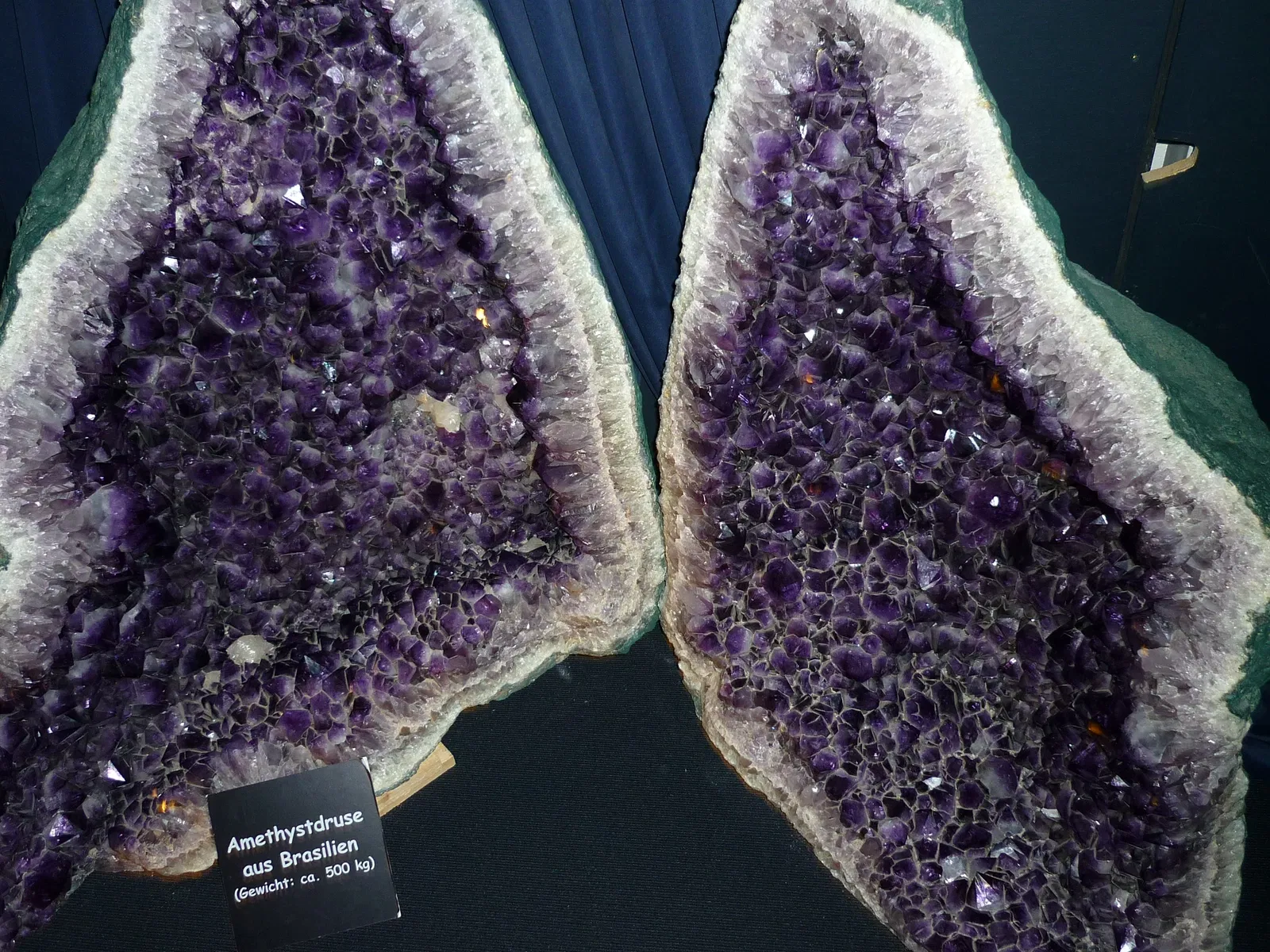 Urwelt-Museum Oberfranken