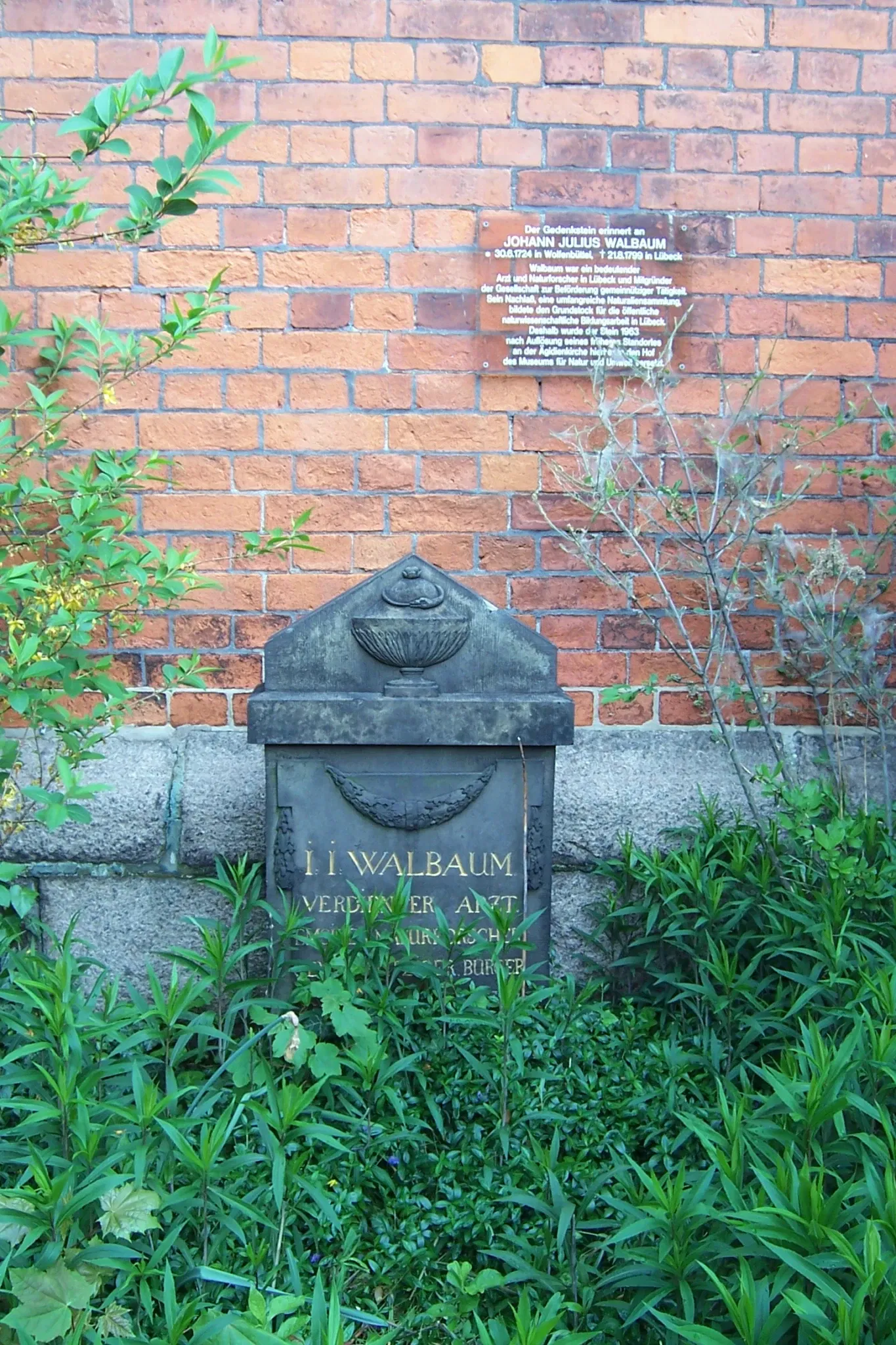 Museum of Nature and Environment