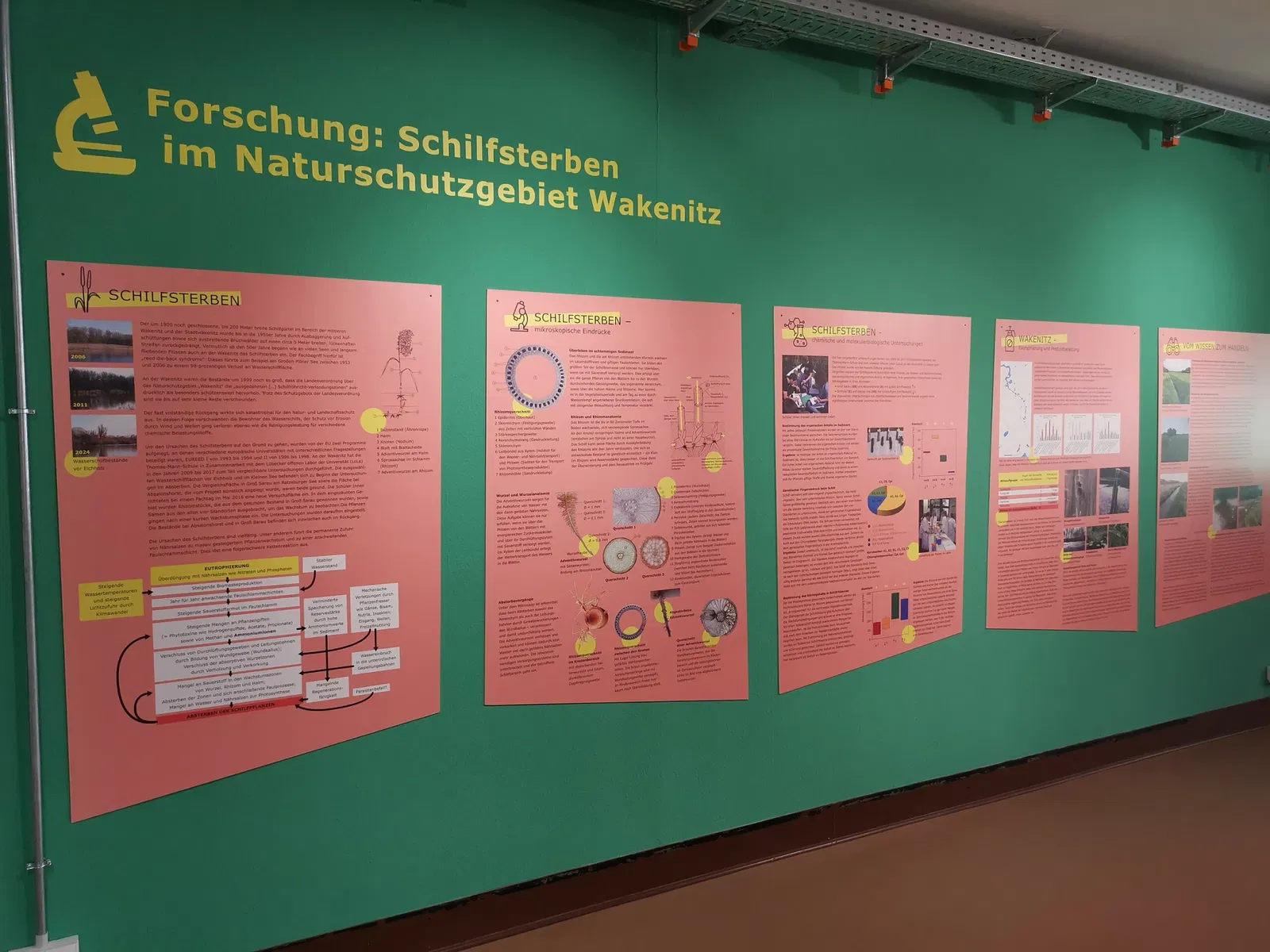 Museum für Natur und Umwelt