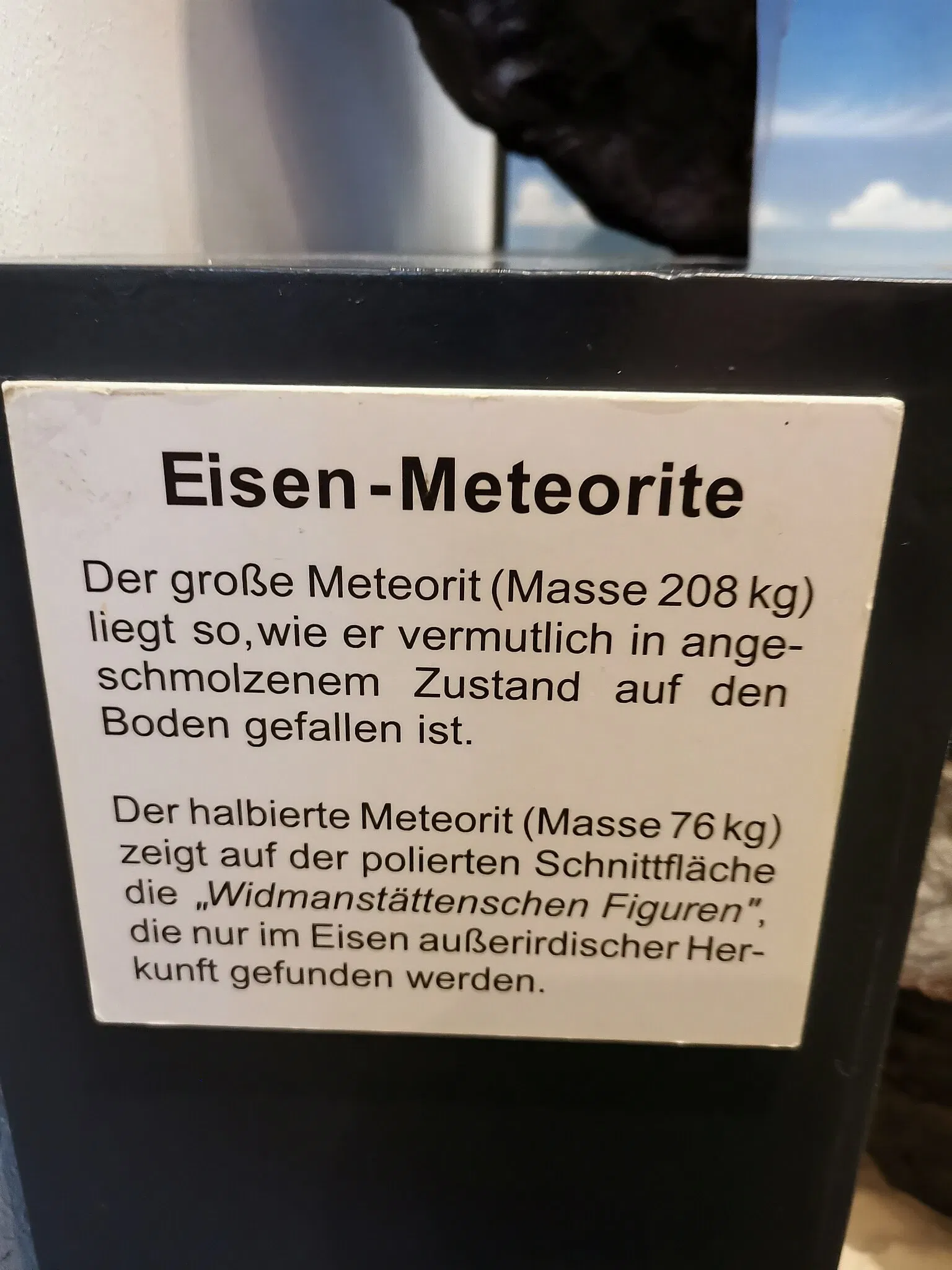 Museum of Nature and Environment