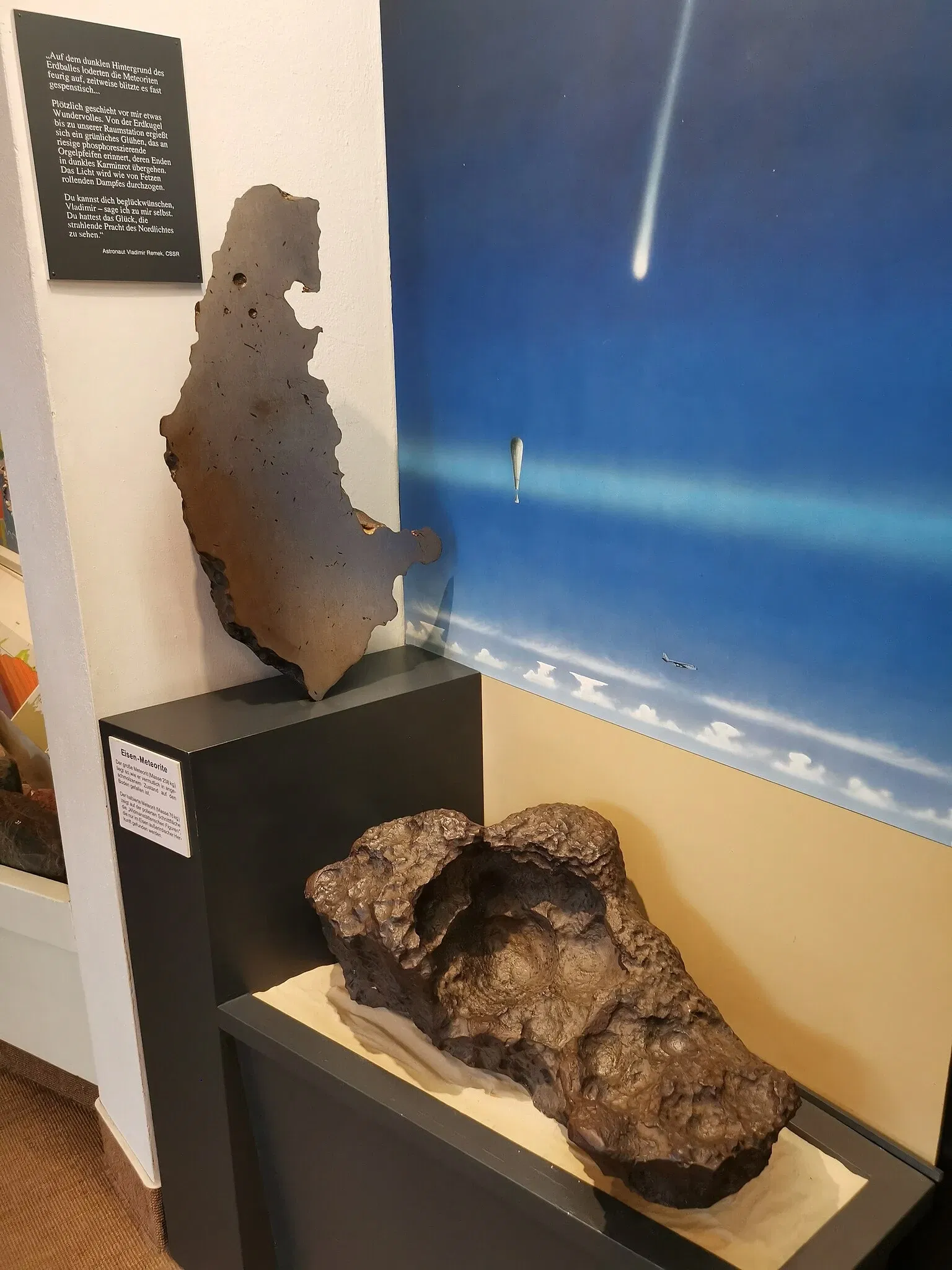 Museum of Nature and Environment