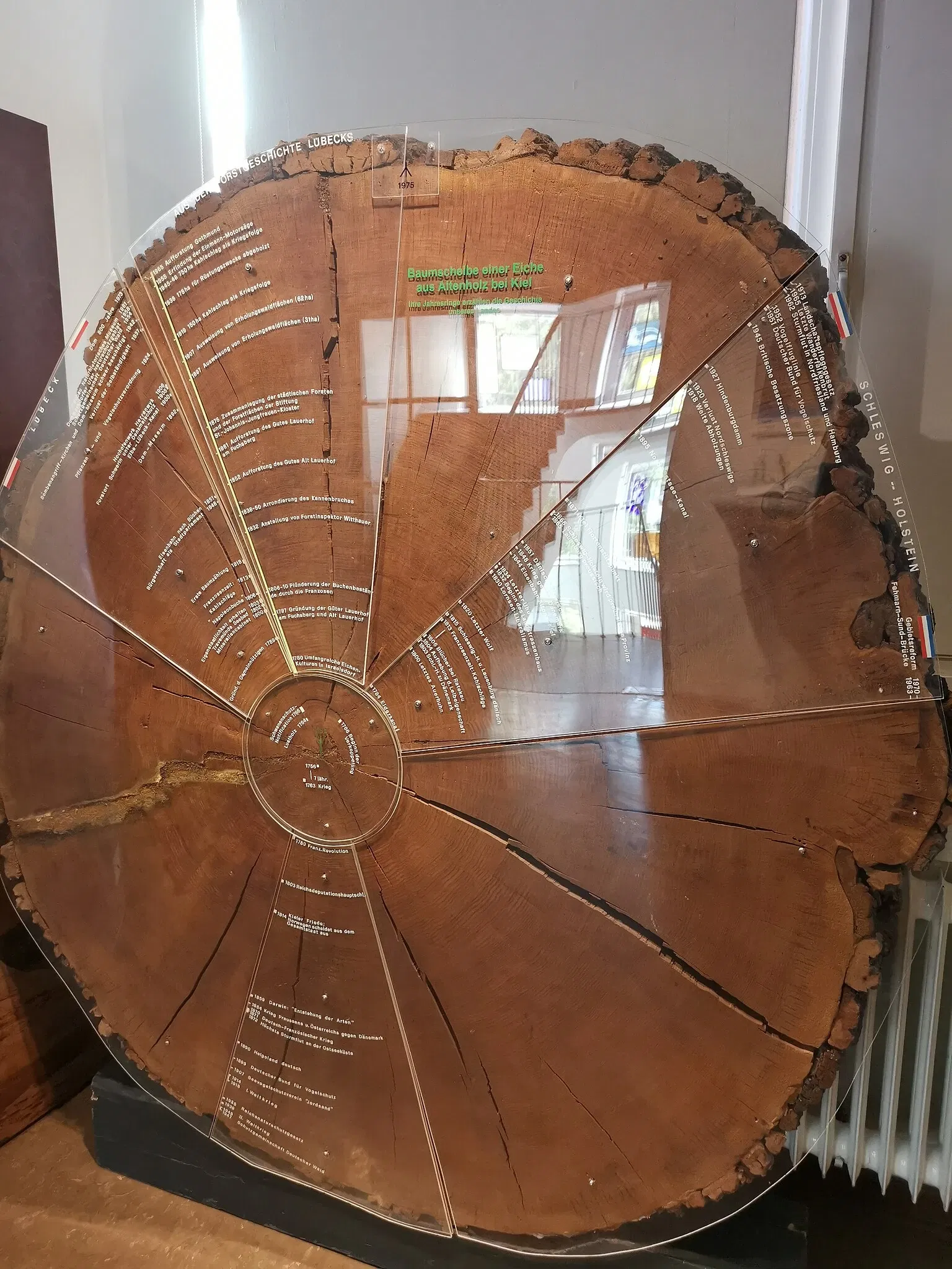 Museum für Natur und Umwelt