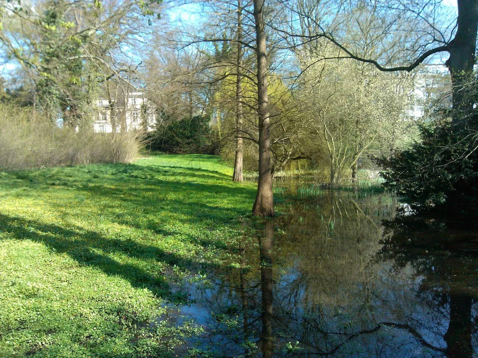 Brahms-Institut an der Musikhochschule Lübeck