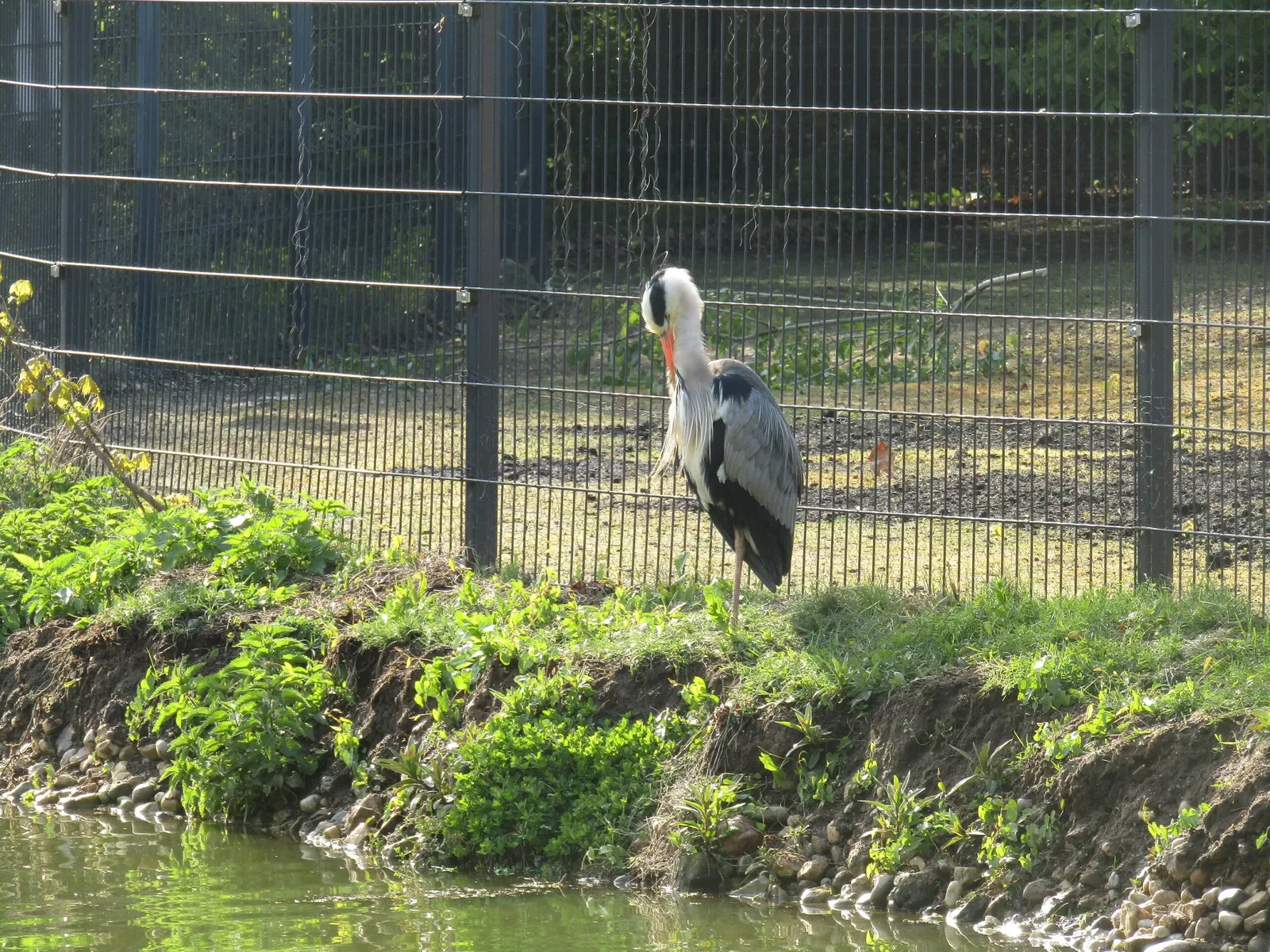 Zoo Hoyerswerda