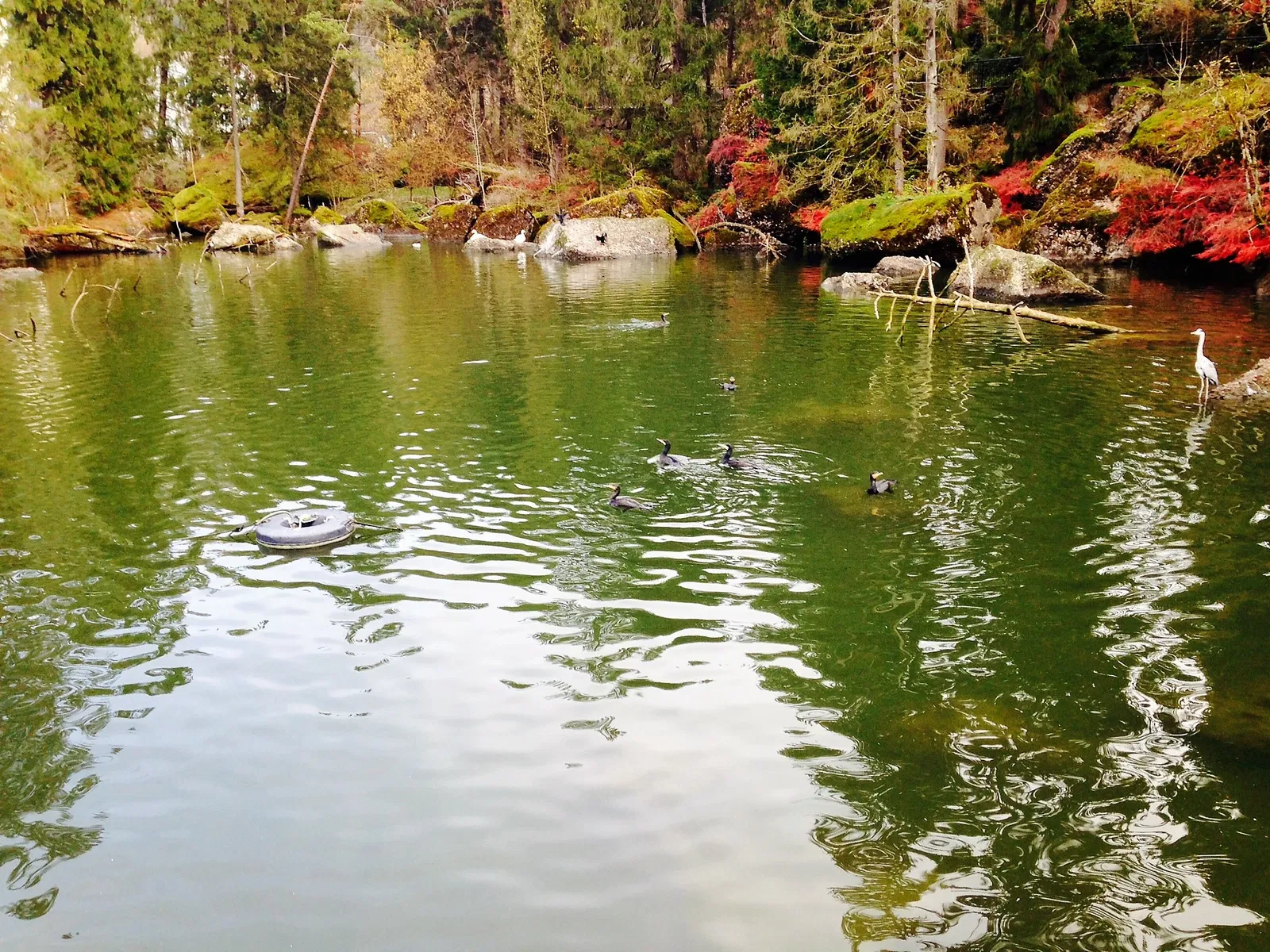 Natur- und Tierpark Goldau