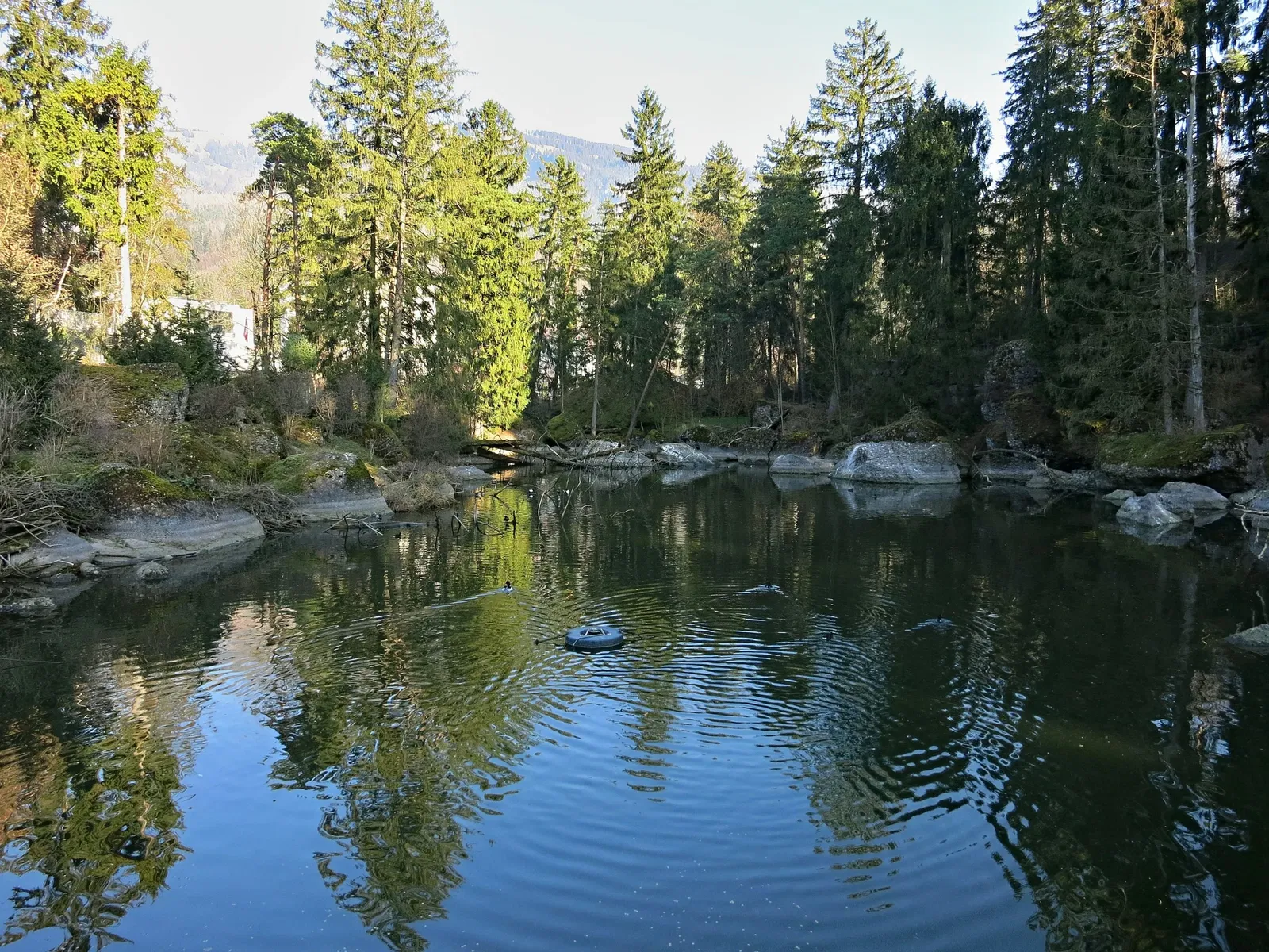 Natur- und Tierpark Goldau