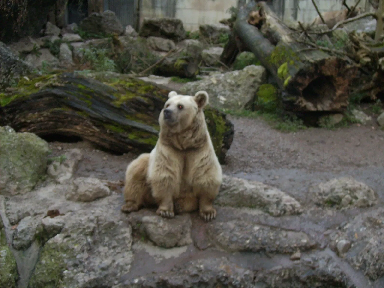 Natur- und Tierpark Goldau