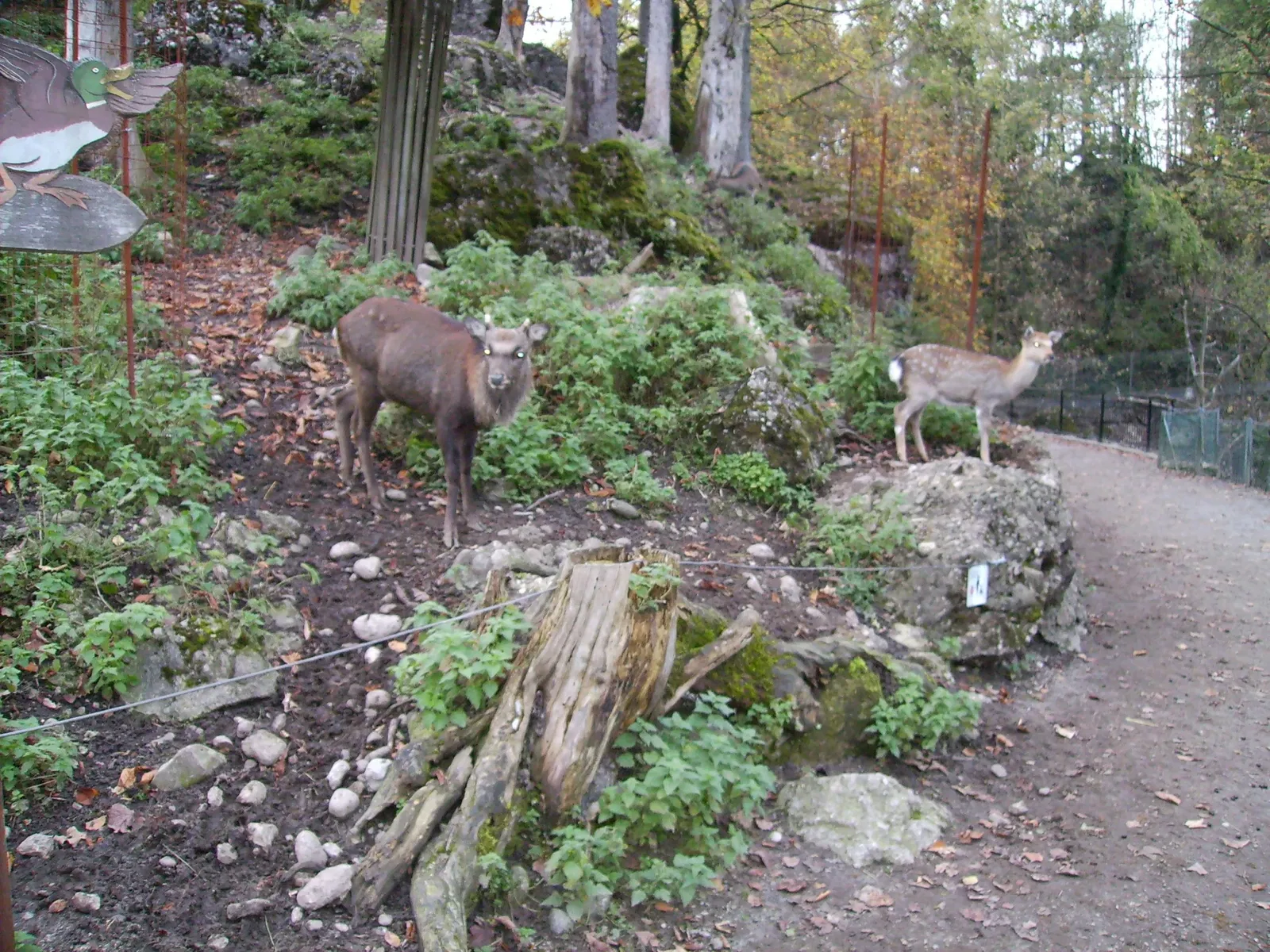 Natur- und Tierpark Goldau