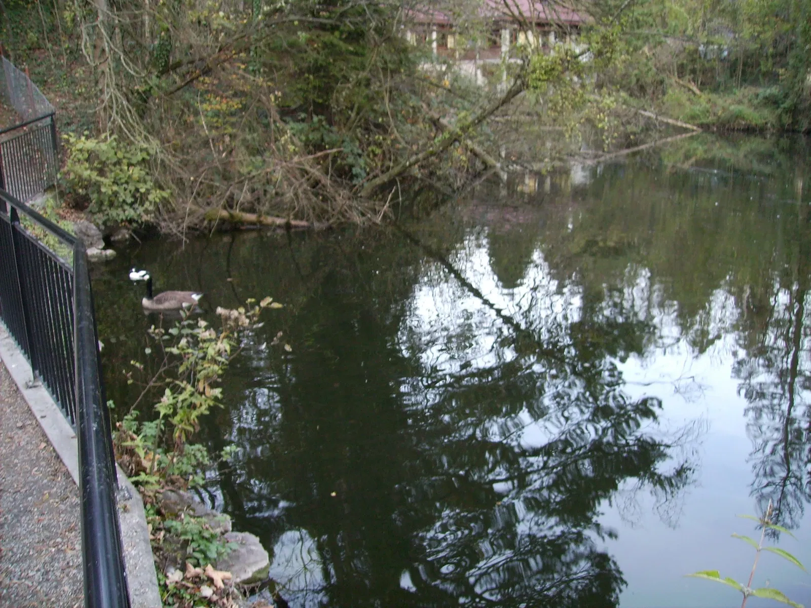 Natur- und Tierpark Goldau