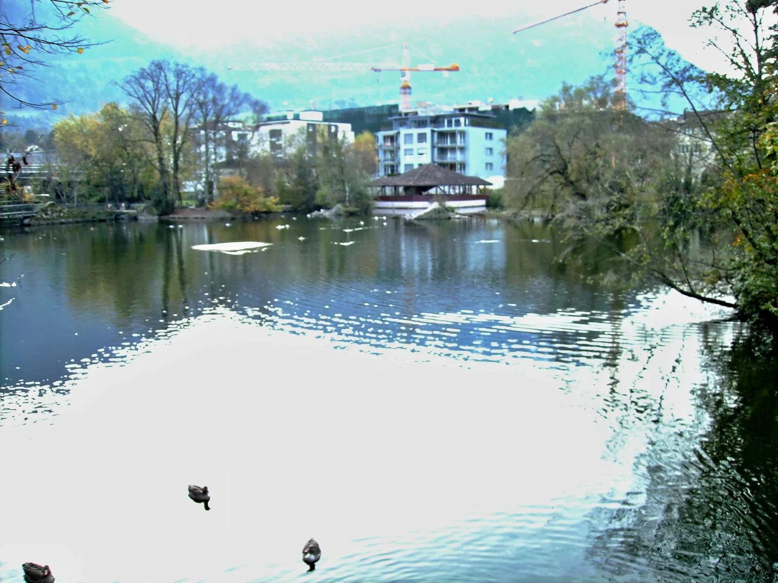 Natur- und Tierpark Goldau