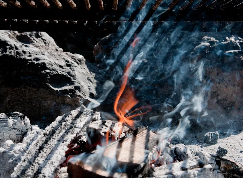 Natur- und Tierpark Goldau