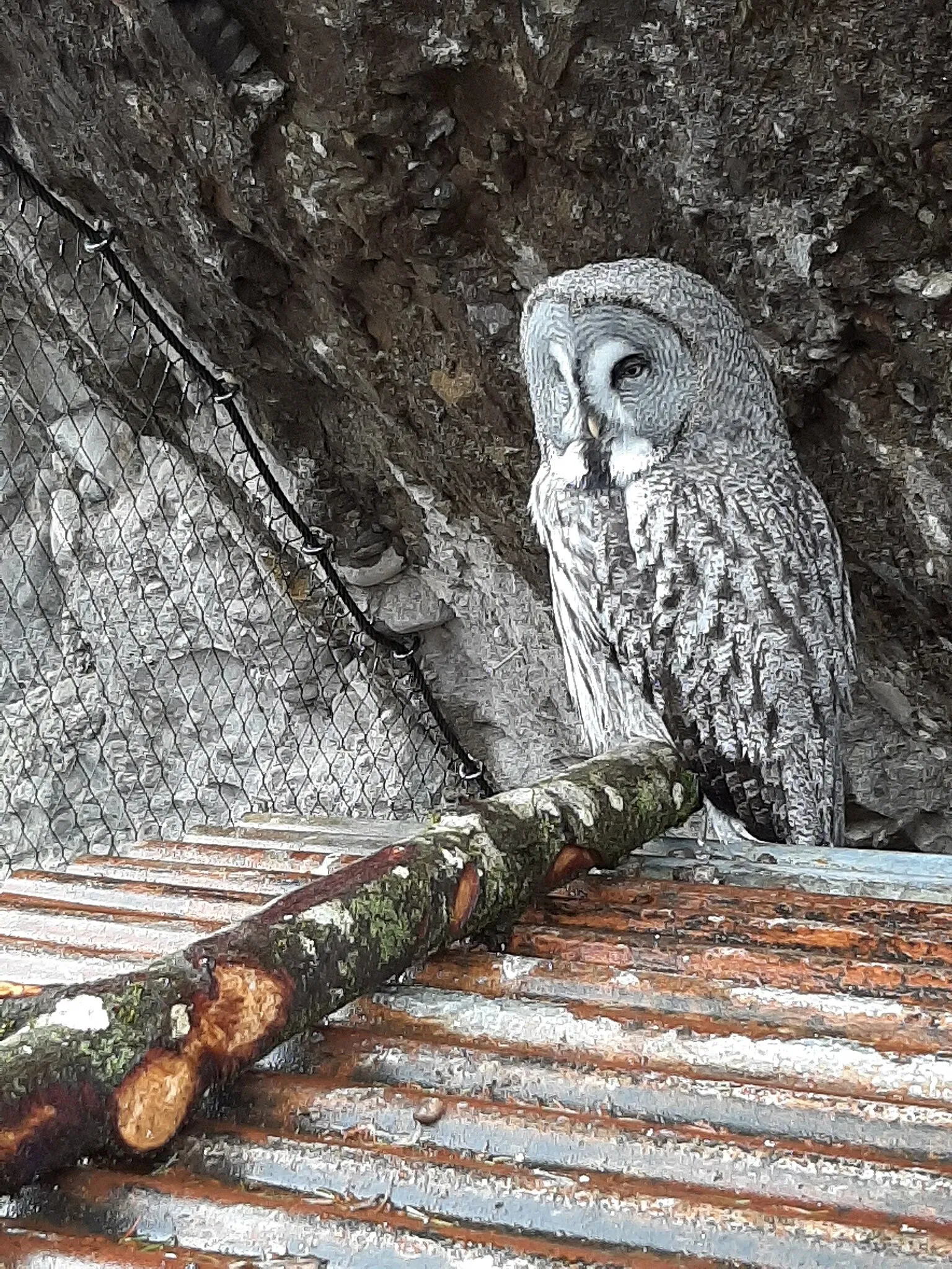 Natur- und Tierpark Goldau