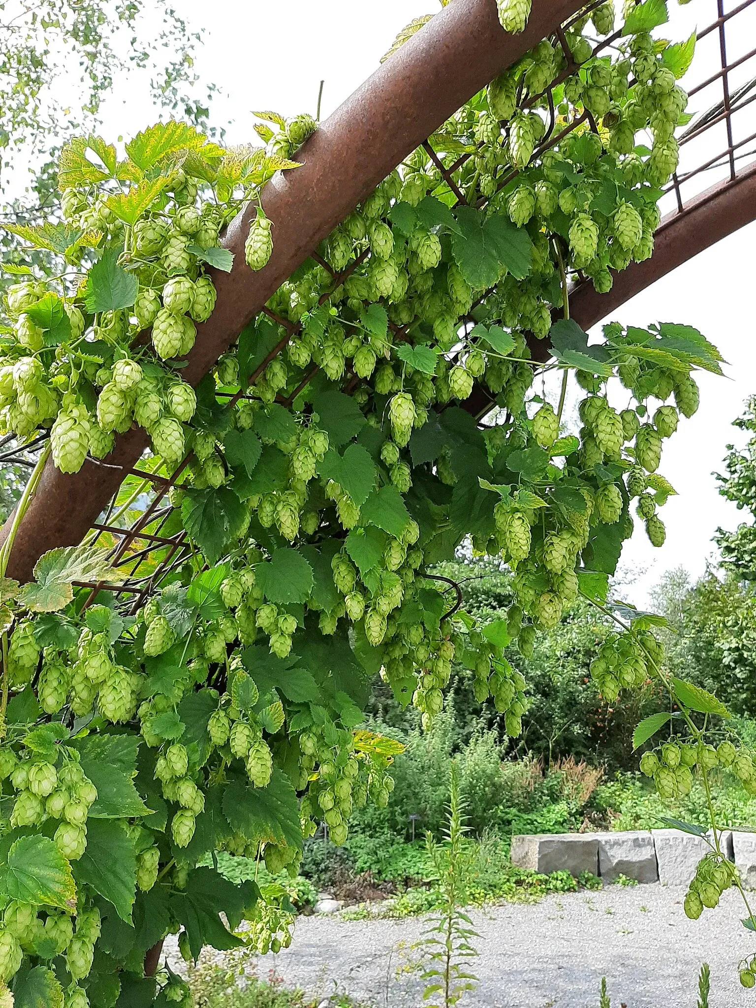 Natur- und Tierpark Goldau
