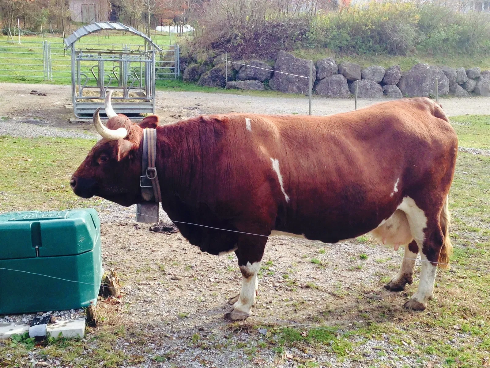 Natur- und Tierpark Goldau