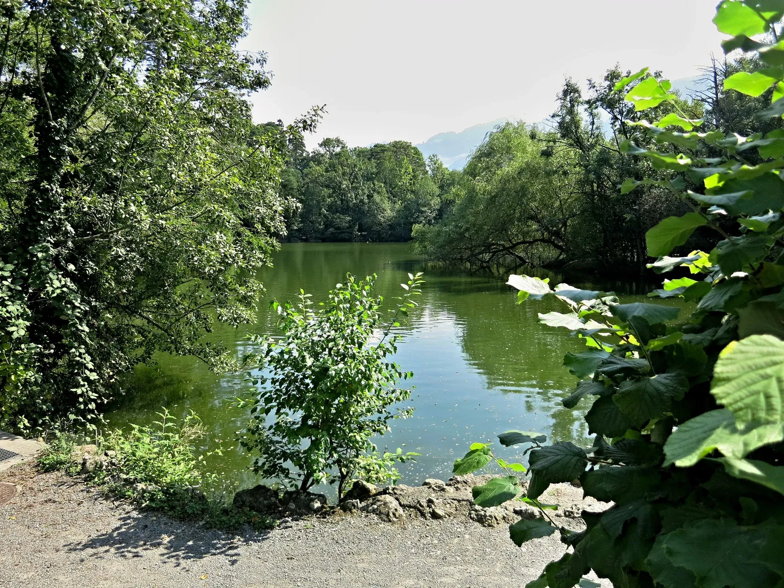 Natur- und Tierpark Goldau