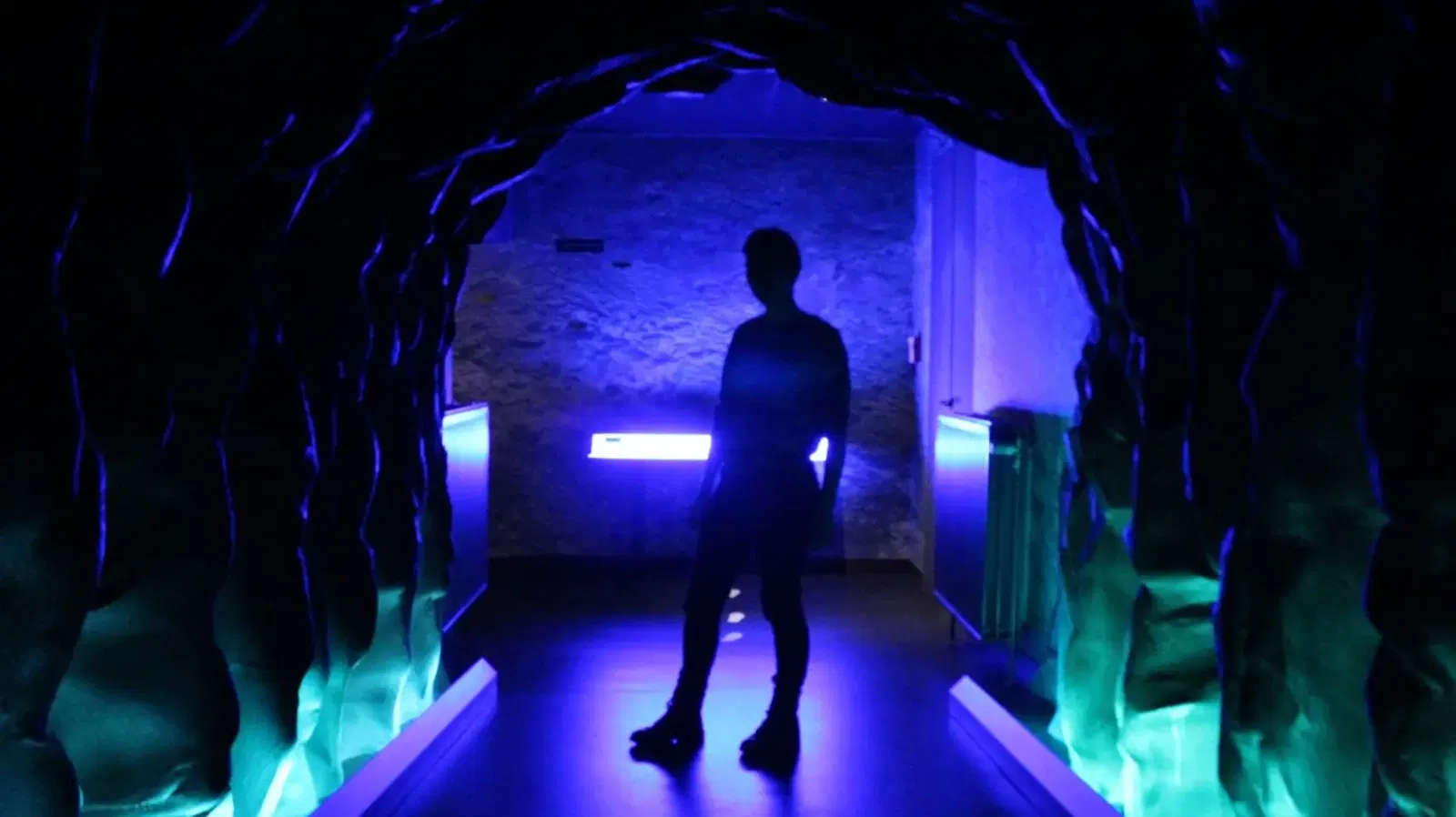 La Maison Du Pays De Salm • Jace