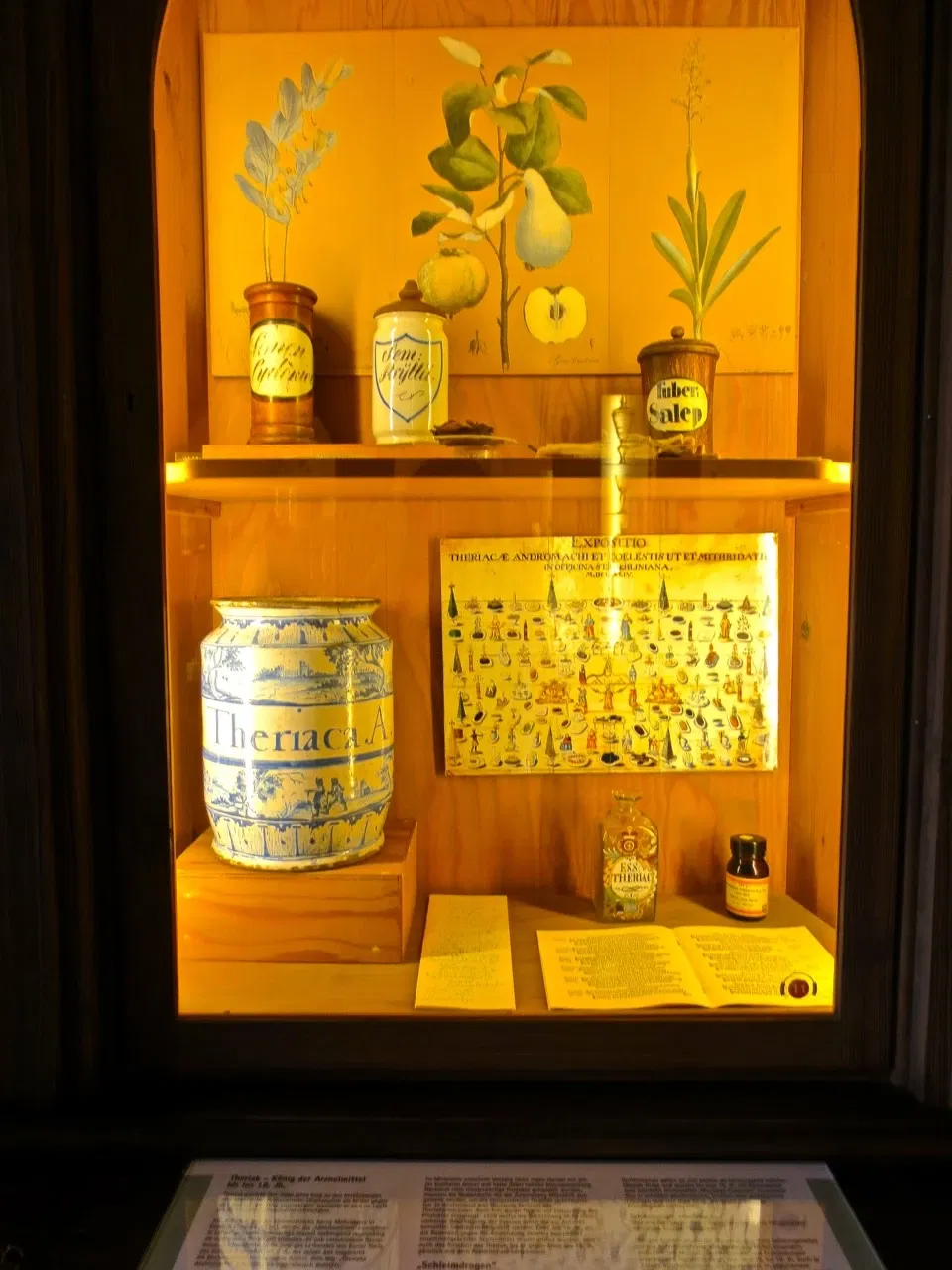 German Pharmacy Museum