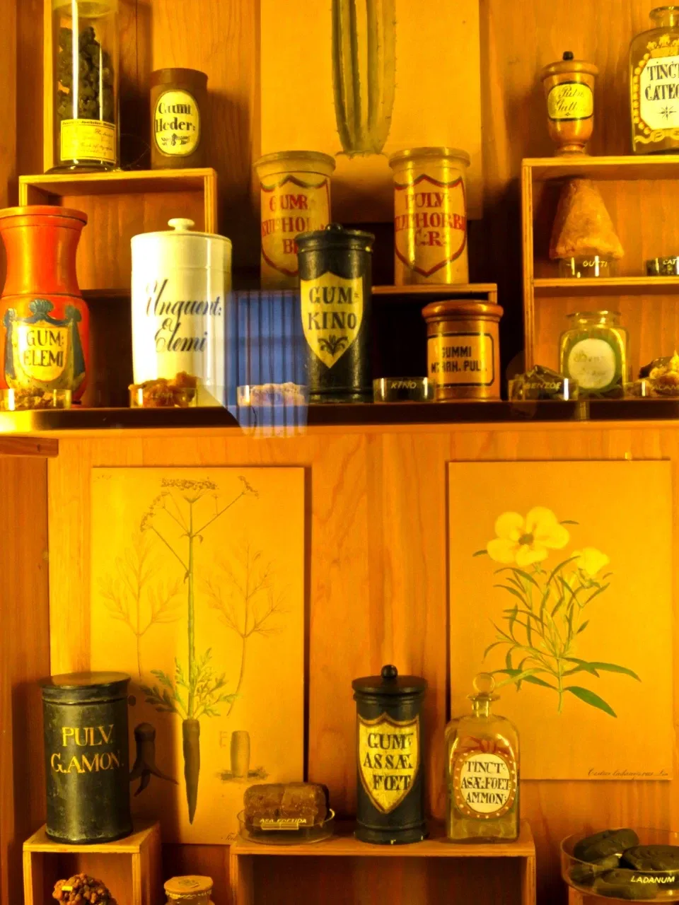 Deutsches Apotheken-Museum