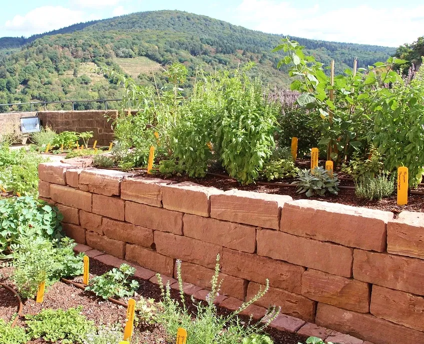 German Pharmacy Museum