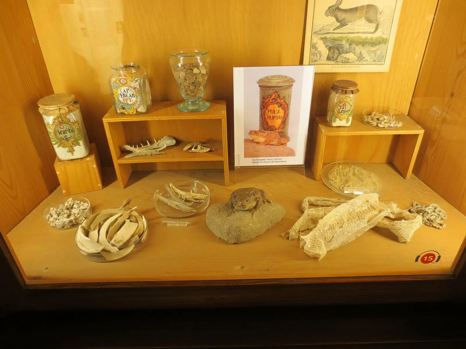 German Pharmacy Museum