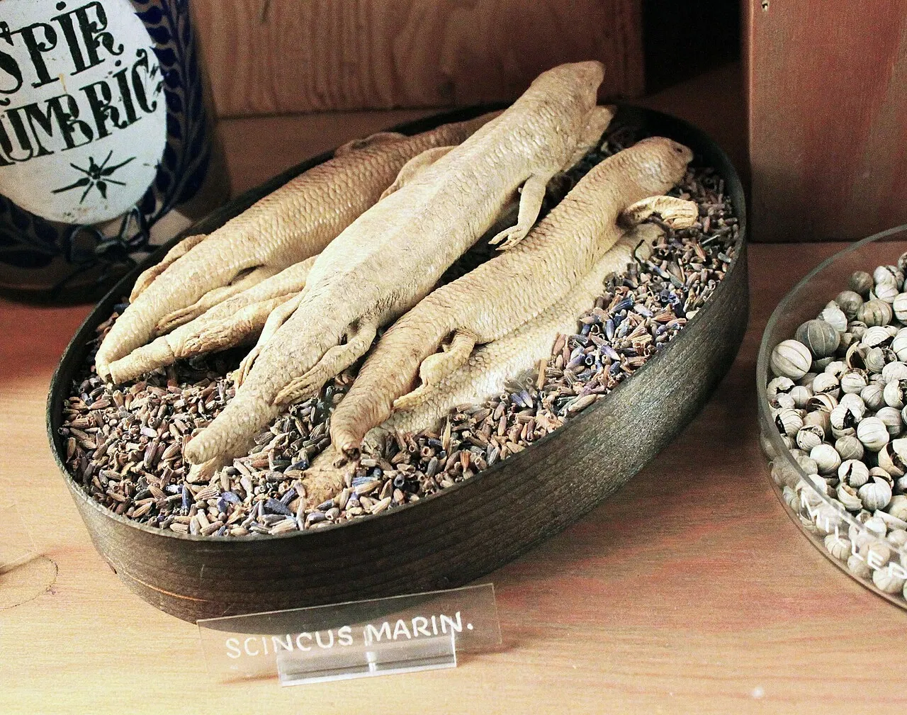 Deutsches Apotheken-Museum