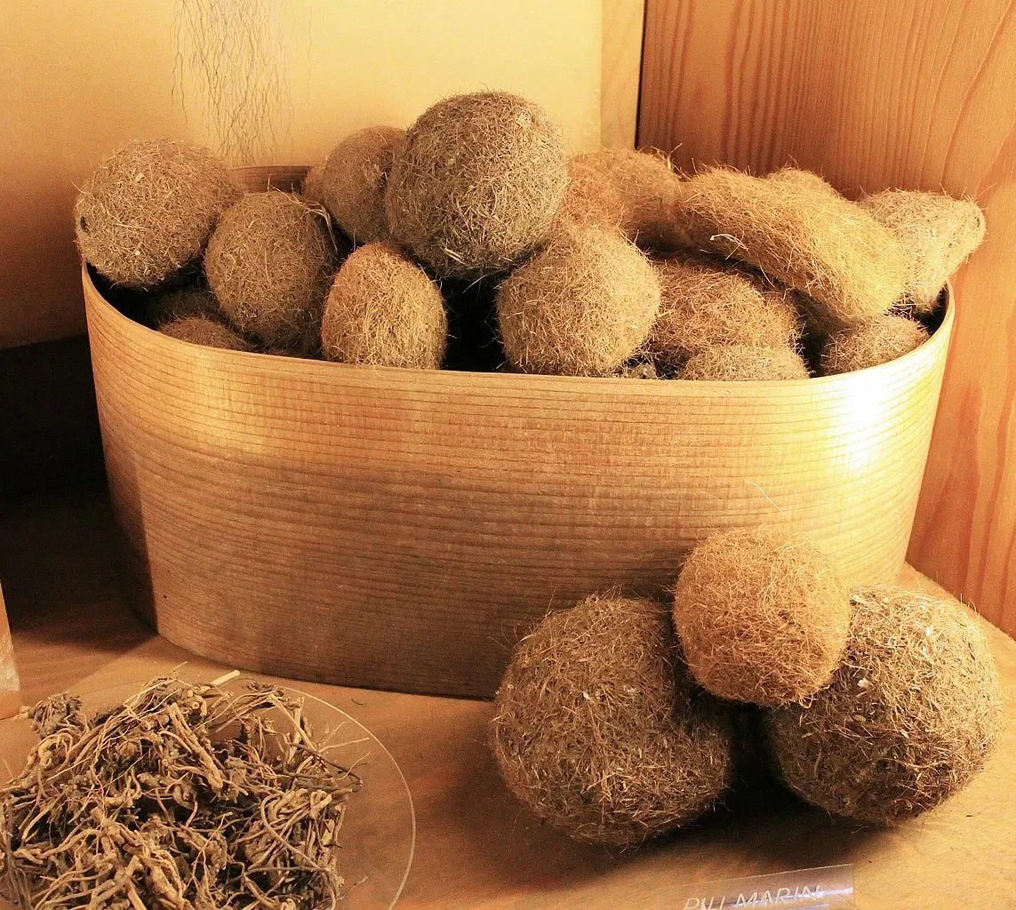 German Pharmacy Museum