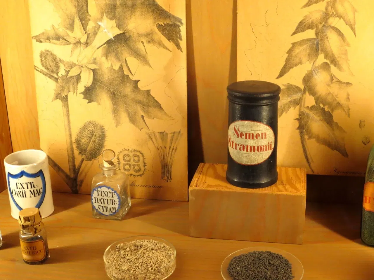 German Pharmacy Museum