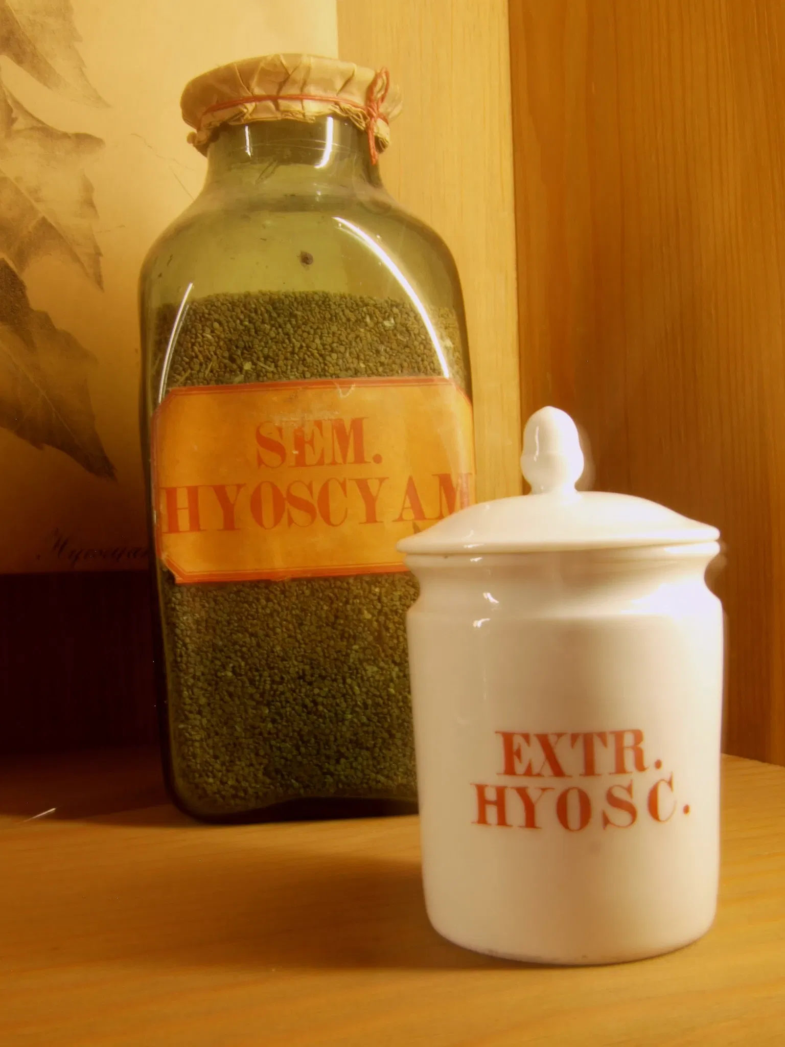 Deutsches Apotheken-Museum