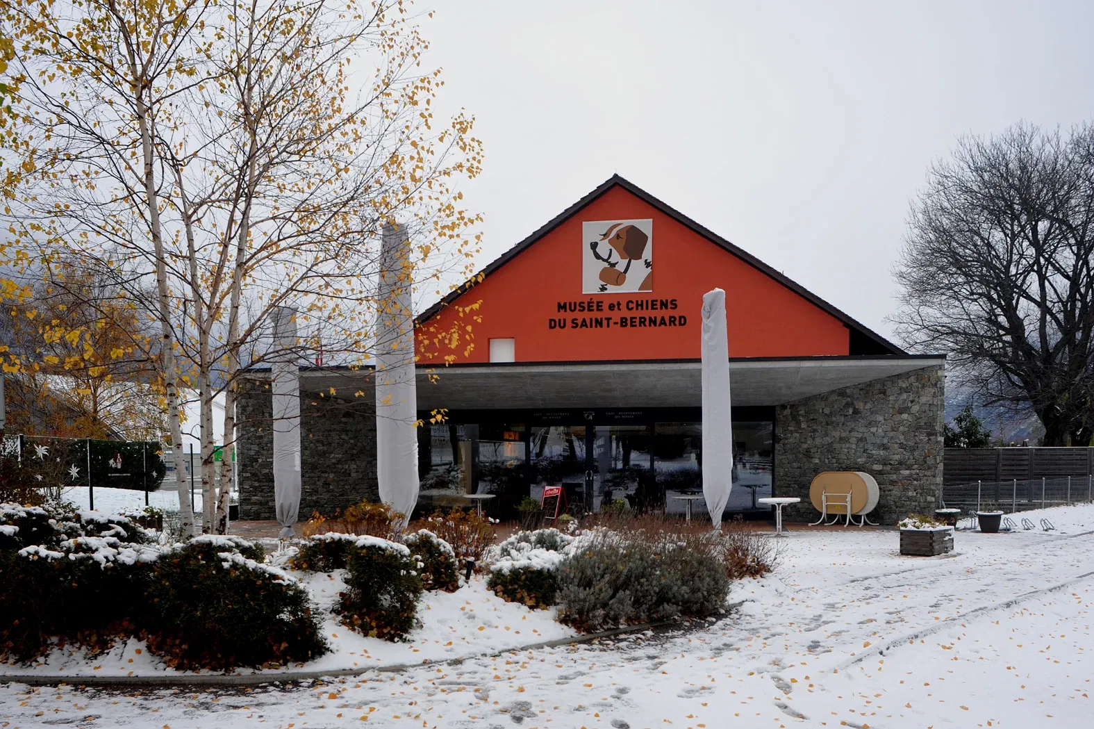 Musée et Chiens du Saint-Bernard